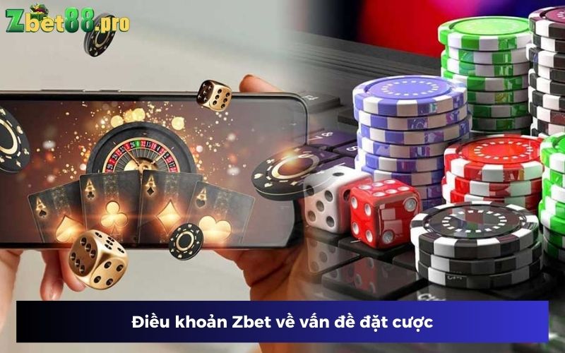 Thành viên đặt cược tuân thủ theo điều khoản Zbet Thành viên đặt cược tuân thủ theo điều khoản Zbet